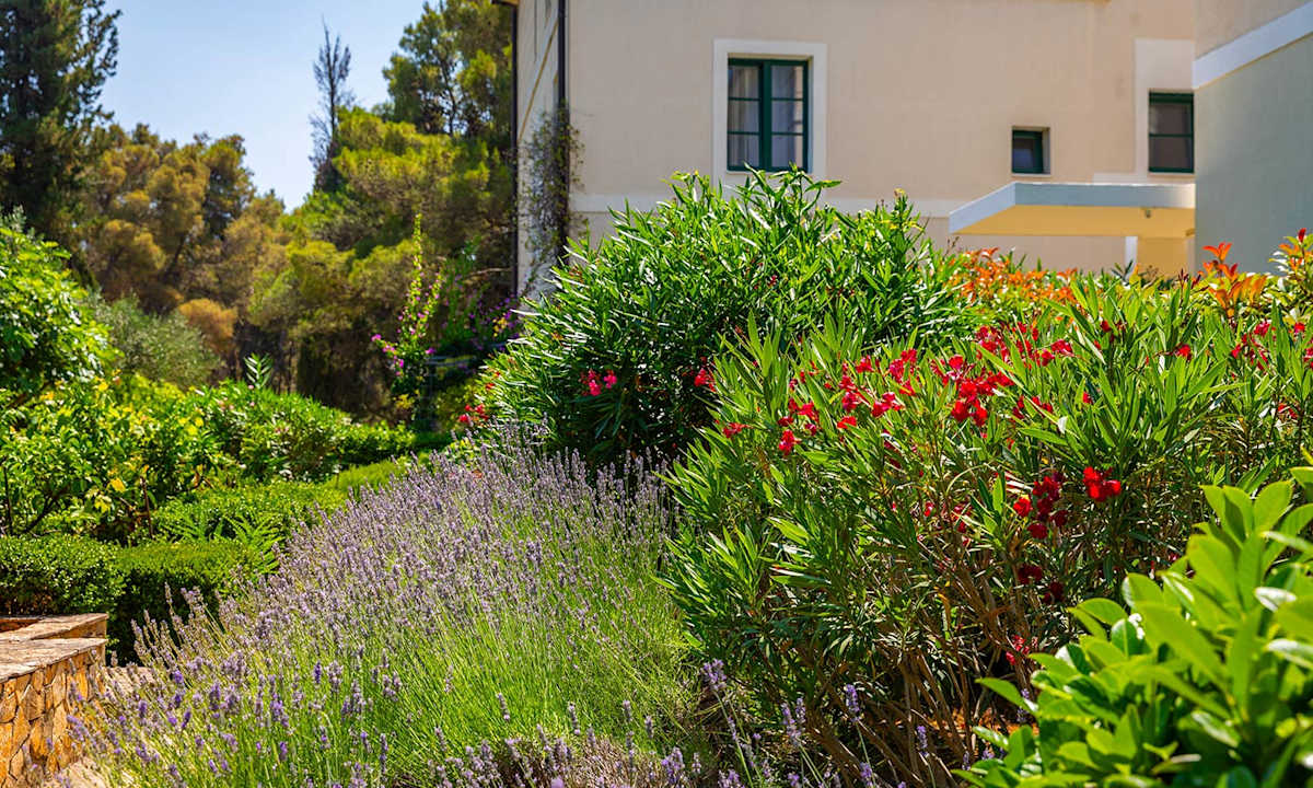 Gartenanlage Aminess Vival Velaris Resort