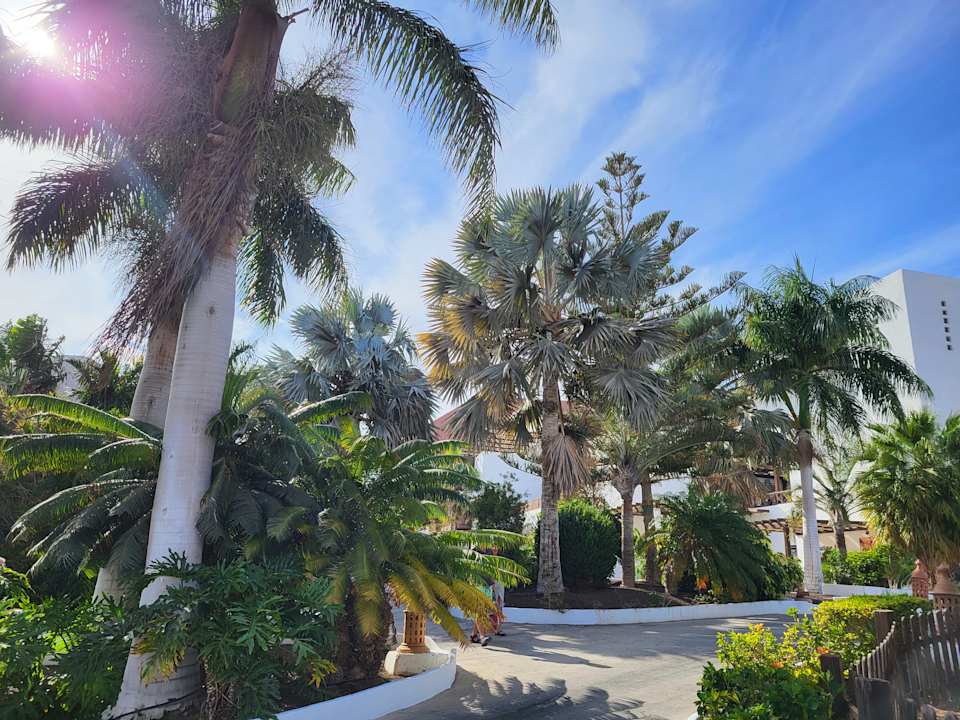 Gartenanlage Esencia de Fuerteventura