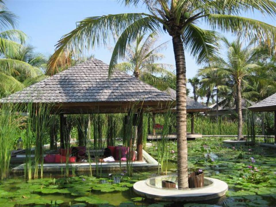 Lotusblütenteich Wyndham Hua Hin Pranburi Resort & Villas