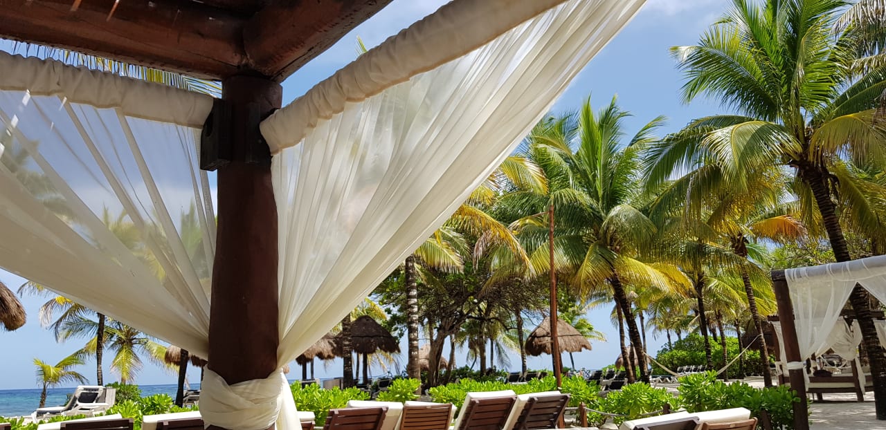 Gartenanlage TRS Yucatan Hotel - Adults only