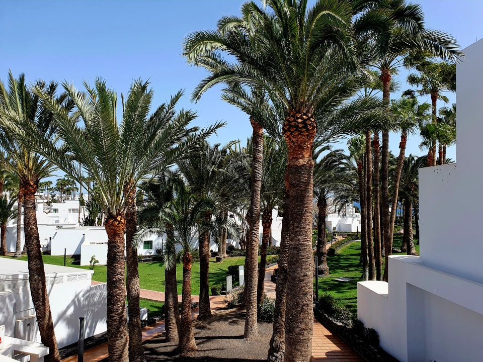 Gartenanlage Hotel Riu Paraiso Lanzarote