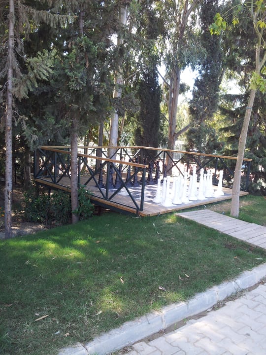 Schach  Crystal Sunset Pearl Collection