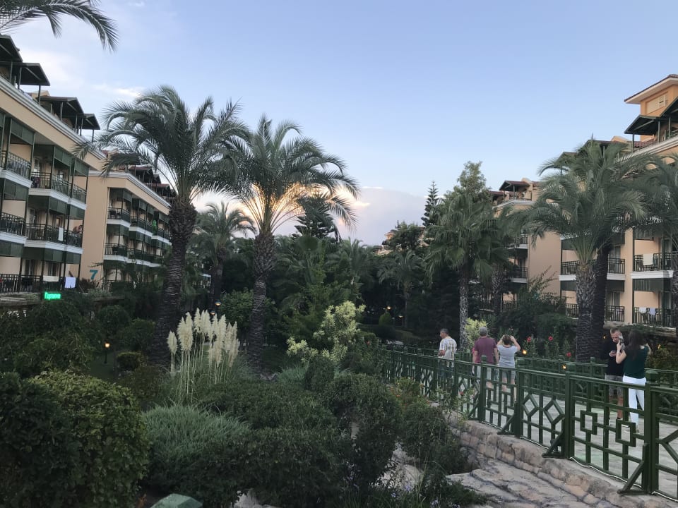 Gartenanlage Crystal Paraiso Aqua Collection