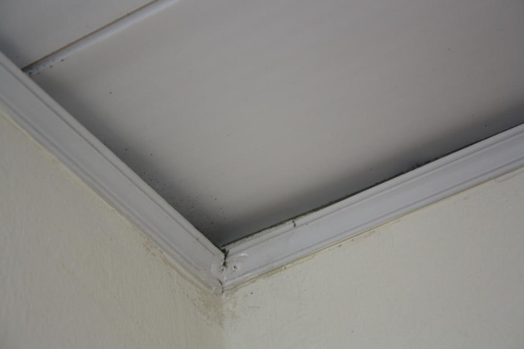 Decke TRS Turquesa Hotel - Adults only