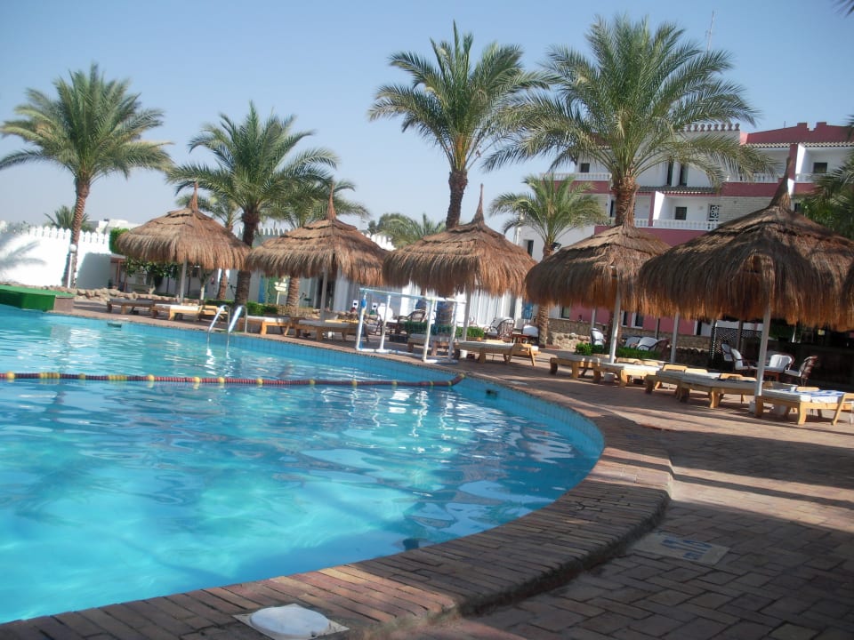 Pool Albatros Sharm Resort