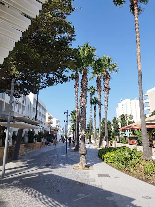 Sonstiges Garbí Cala Millor