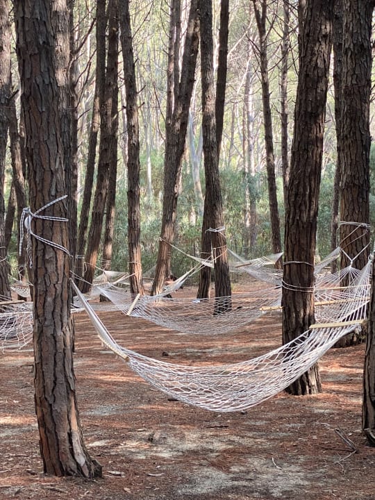 Sport & Freizeit TUI MAGIC LIFE Calabria