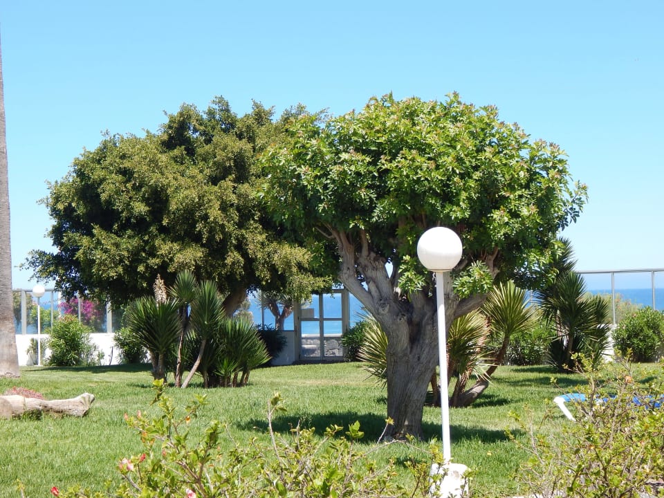 Ausgang zur Strandpromenade direkt an den Dünen Sahara Beach Club