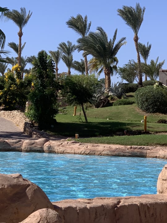 Pool Parrotel Beach Resort