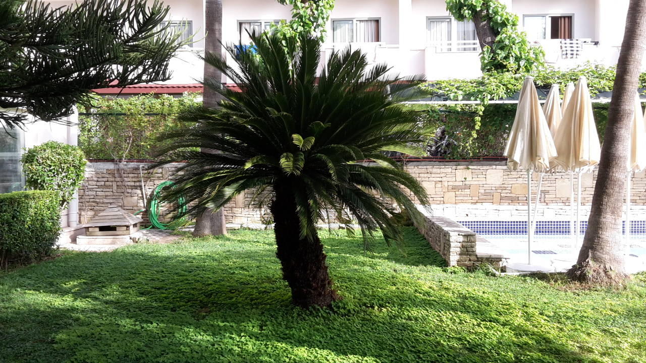 Palme Trendy Side Beach Hotel - Adults only
