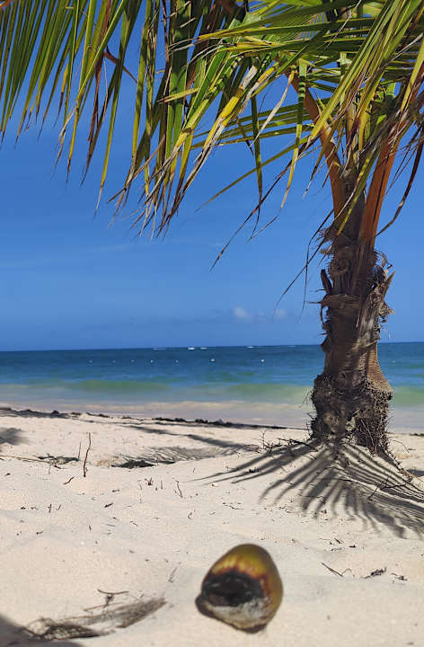 Strand TRS Turquesa Hotel - Adults only