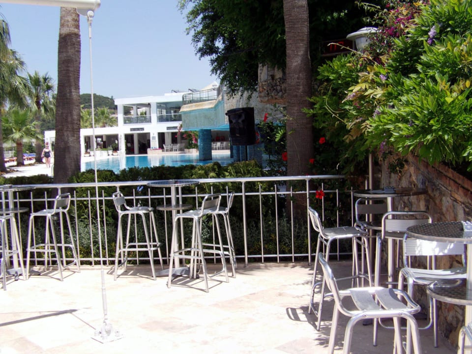 Bar am Hauptpool Blue Dreams Resort & Spa