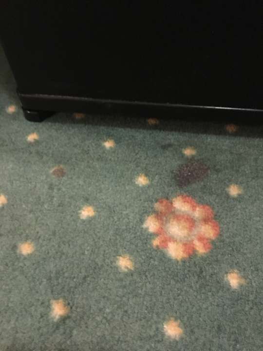 Zimmer Hotel Müller