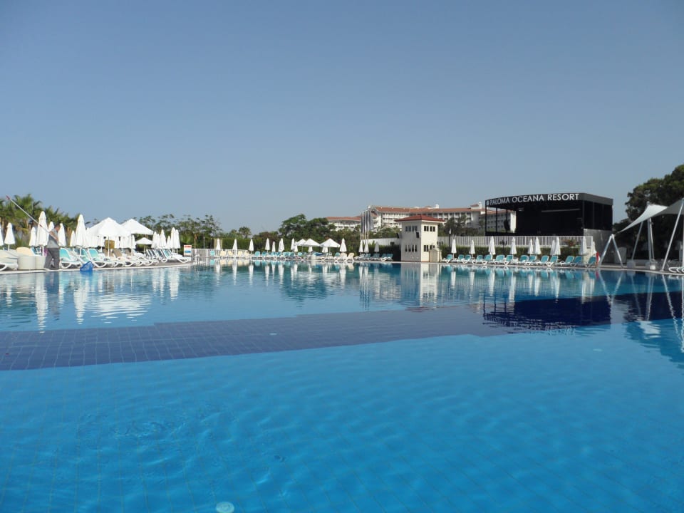 Animationspool Paloma Oceana