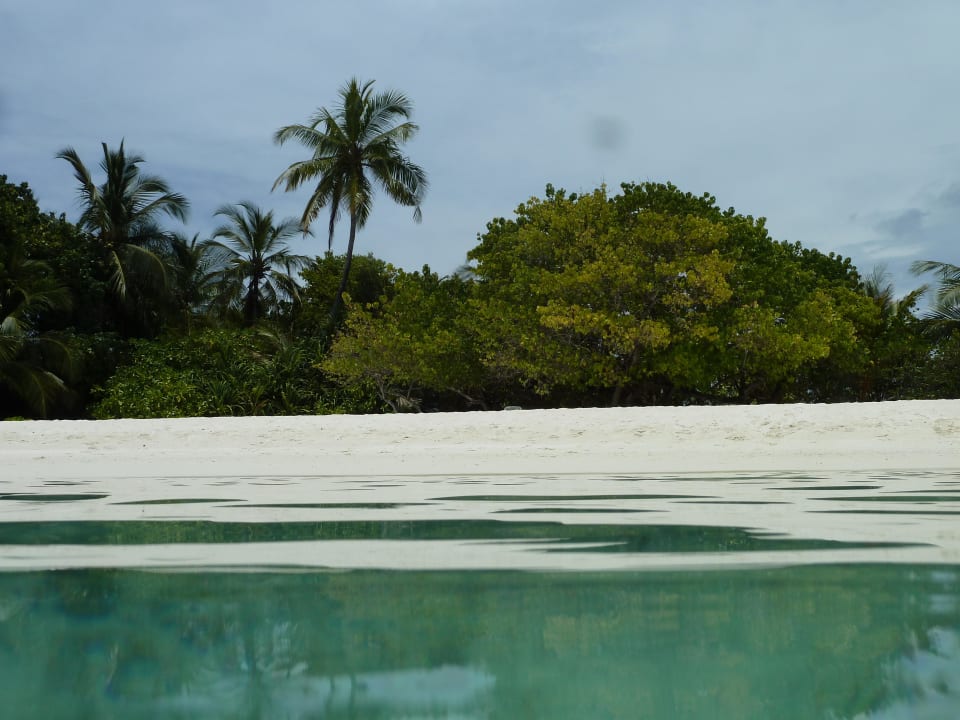 Nd hinter dem The Reef Restaurant Kuramathi Maldives