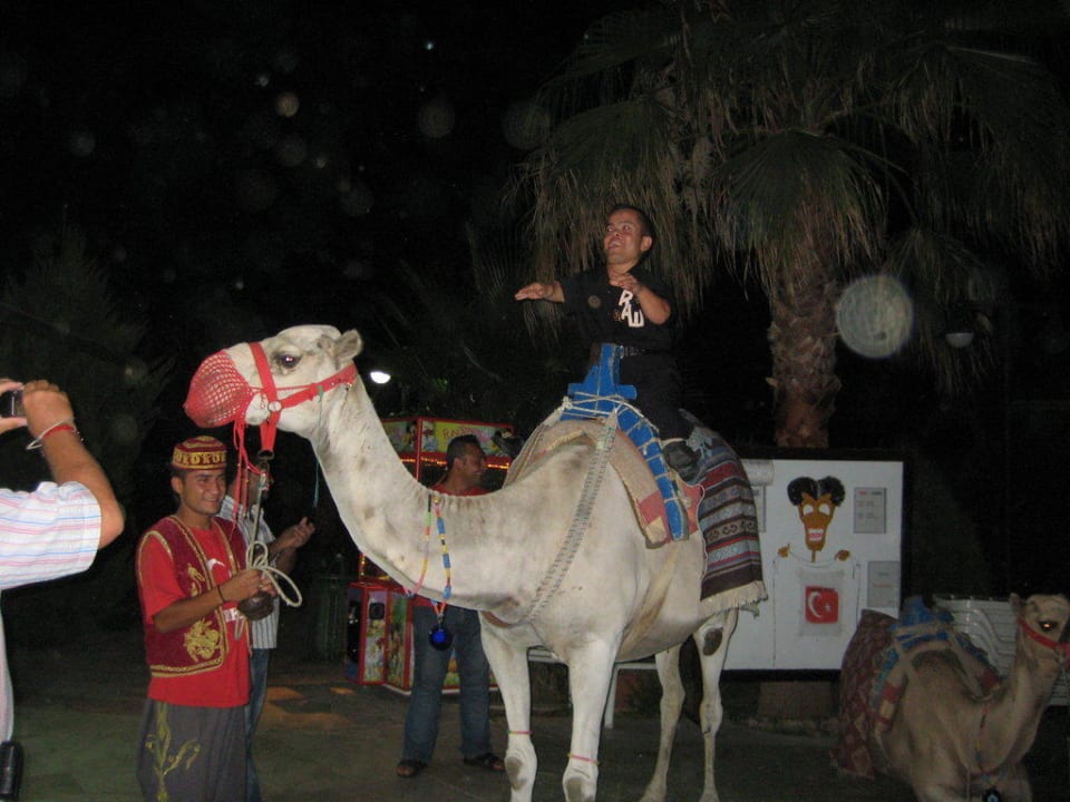 Türkischer Abend Royal Atlantis Beach Hotel