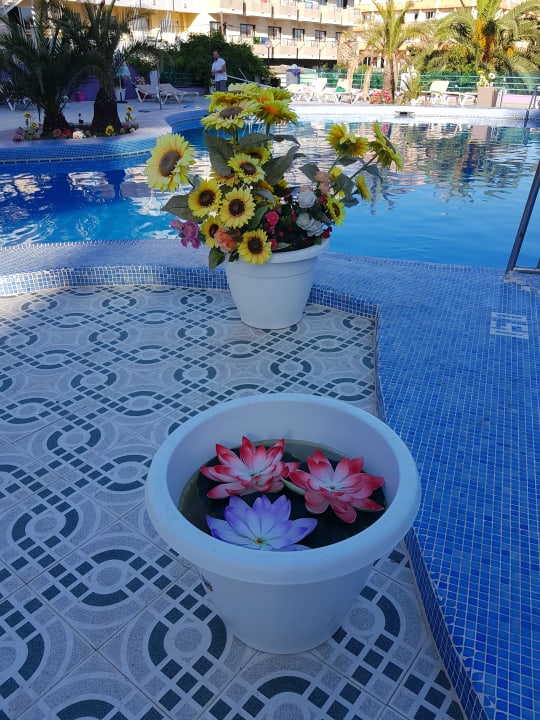 Pool Bei Juan Playa Blanca