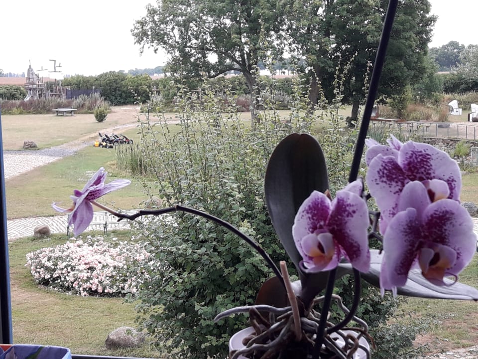 Garten Hofgut Wollin