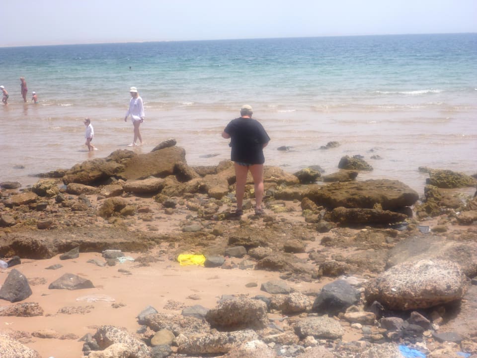 Strand am Albatros Palace bei Ebbe Beach Albatros Resort