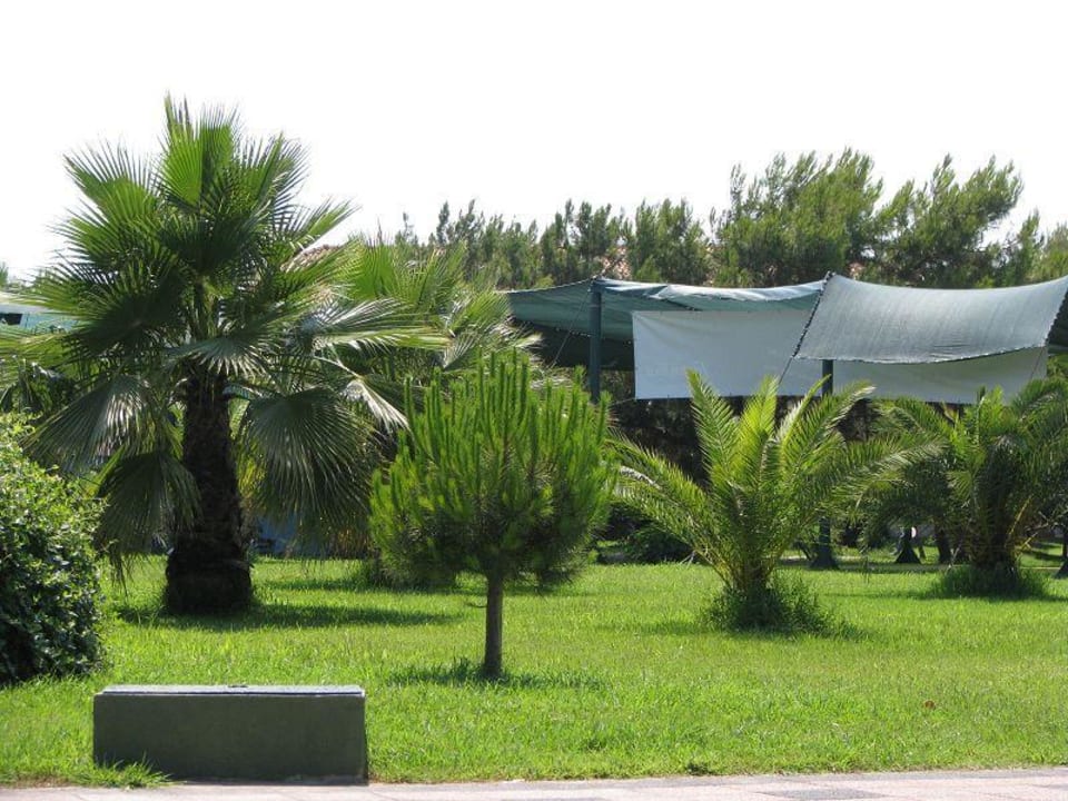 Hotelanlage Ali Bey Club