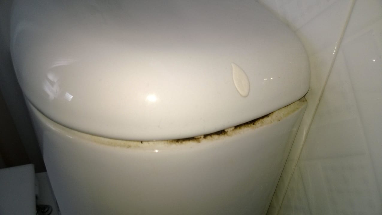 Spülkasten der Toilette Hotel El Duque