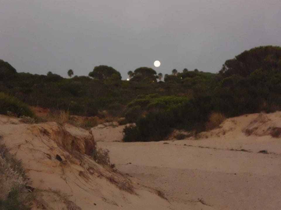 Der Mond über den Dünen Hipotels Barrosa Garden