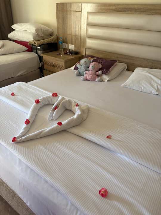Zimmer Beach Albatros Resort