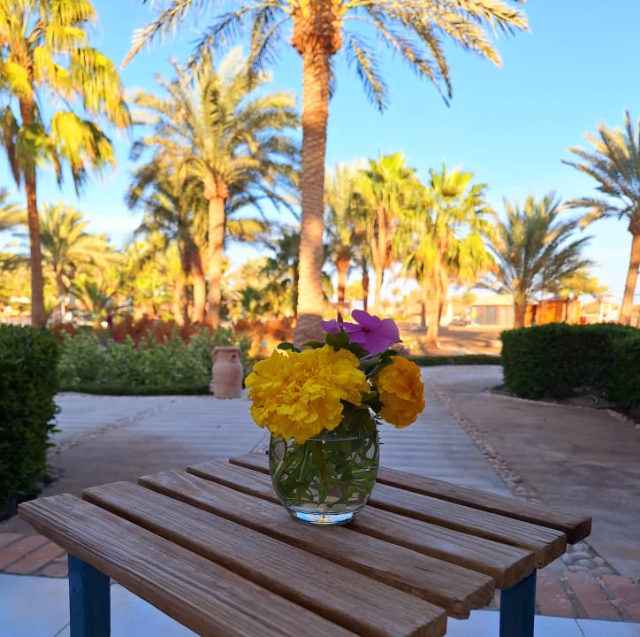 Zimmer Club Paradisio El Gouna, Red Sea