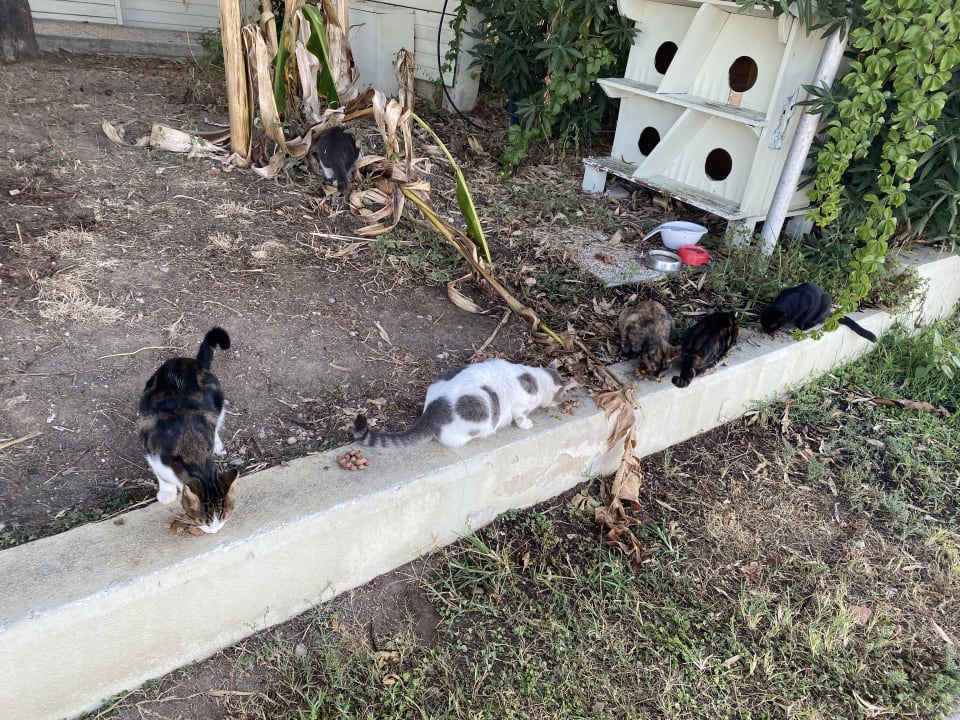 Sonstiges Side Star Elegance