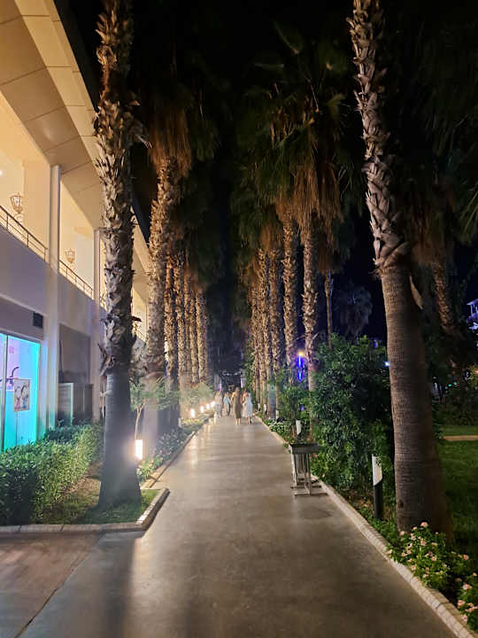 Ausblick Hotel Royal Garden Beach