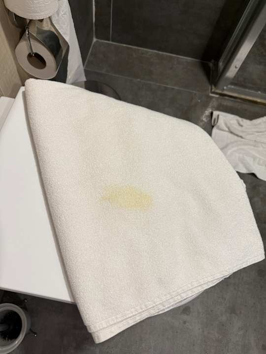 Zimmer Dream Water World