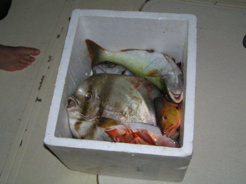 Nachtfischen Summer Island Maldives