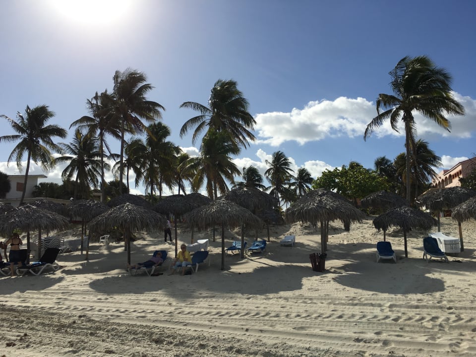 Strand Starfish Cuatro Palmas
