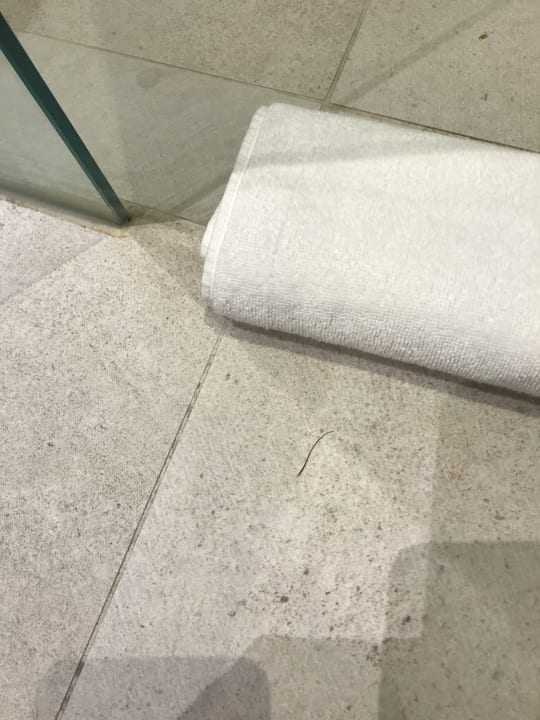 Zimmer INNSiDE Calviá Beach