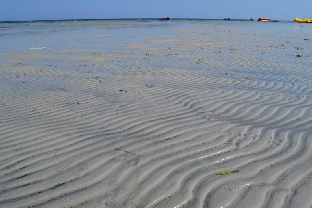 Když byl odliv Hotel Rosa Beach