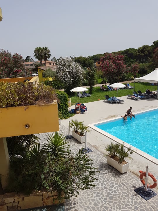 Pool Horse Country Resort Congress & Spa