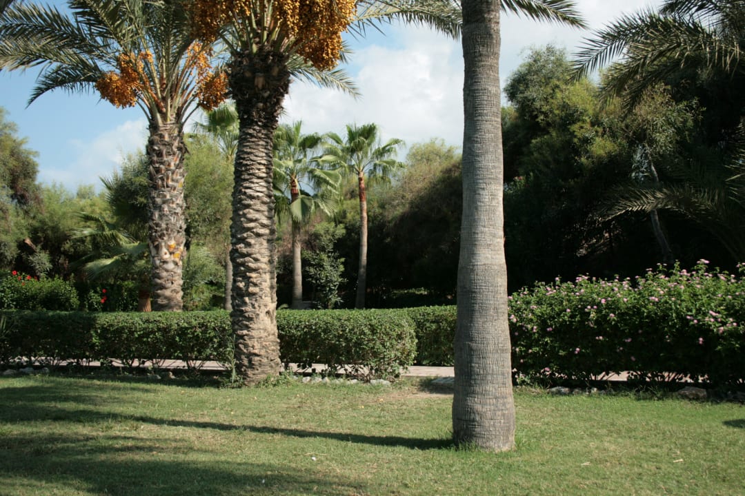 Hotel Dinler Kırbıyık Resort Hotel - Alanya