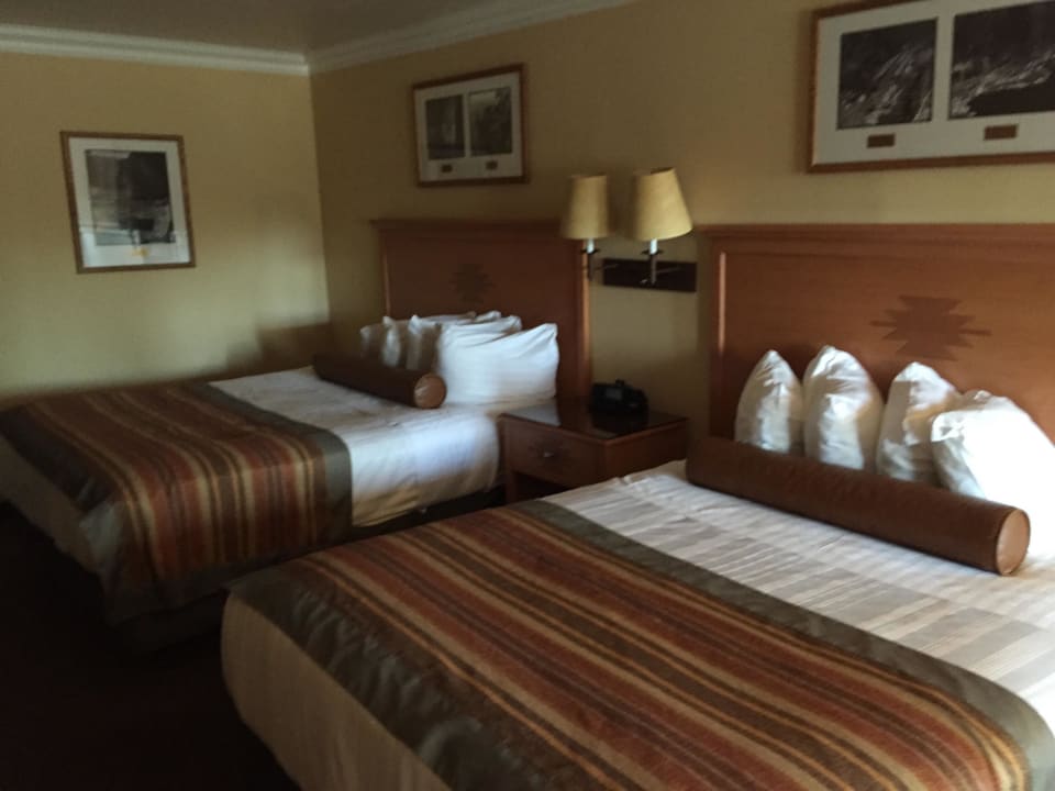 Bett The Squire at Grand Canyon