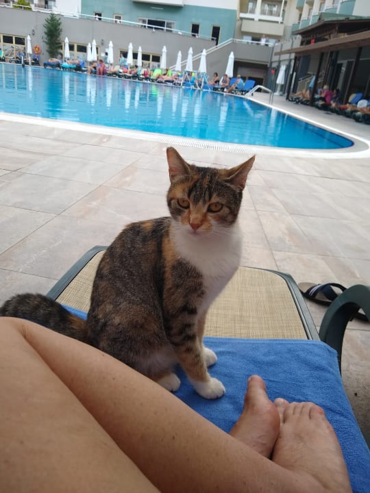 Pool Side Breeze Hotel