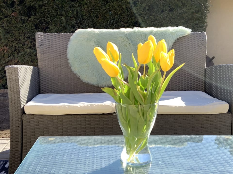 Sonstiges Wellness Ferienhaus Bergheide