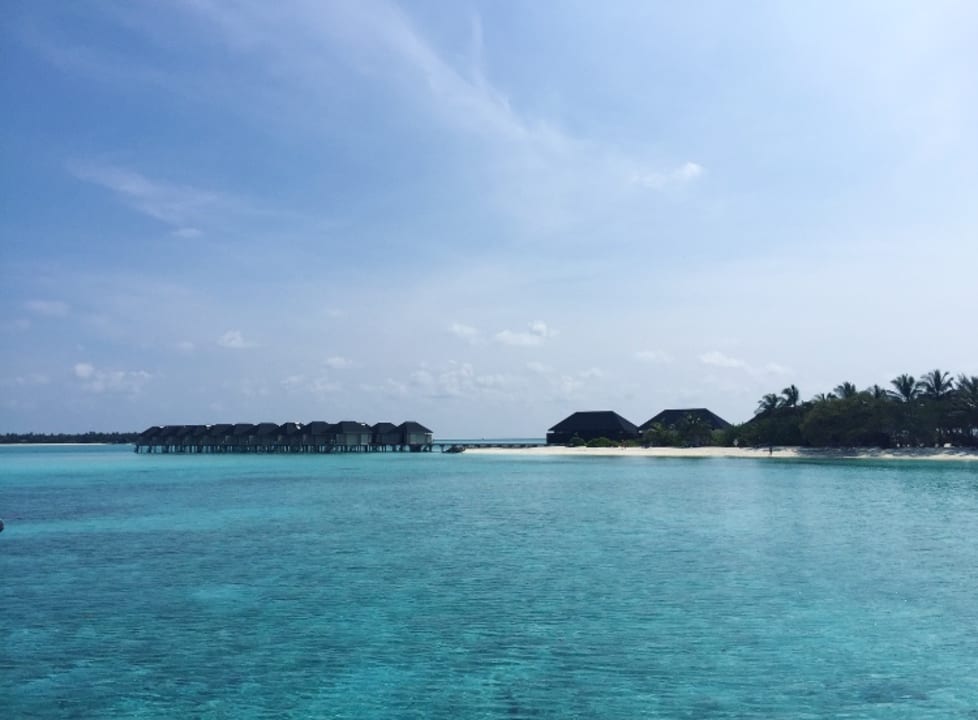 Strand Summer Island Maldives