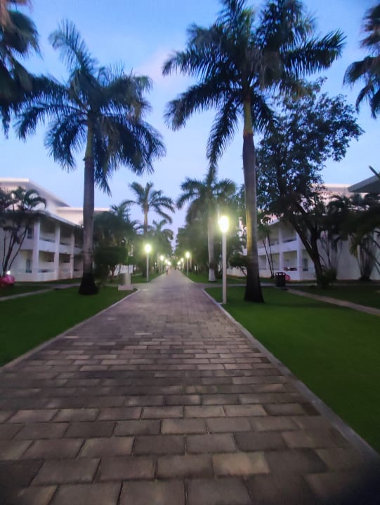 Gartenanlage Hotel Riu Playacar
