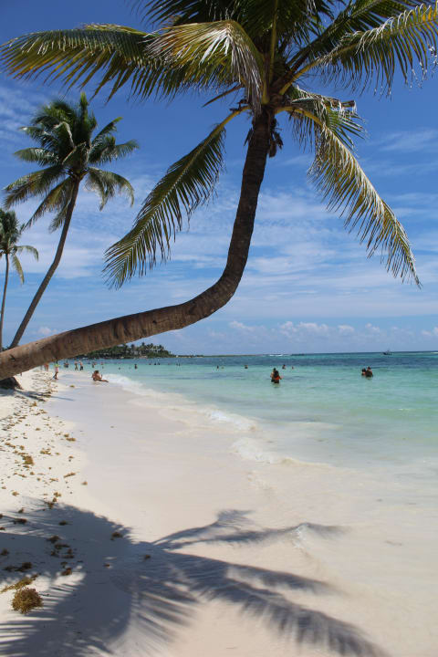Strand Akumal Bay Beach & Wellness Resort
