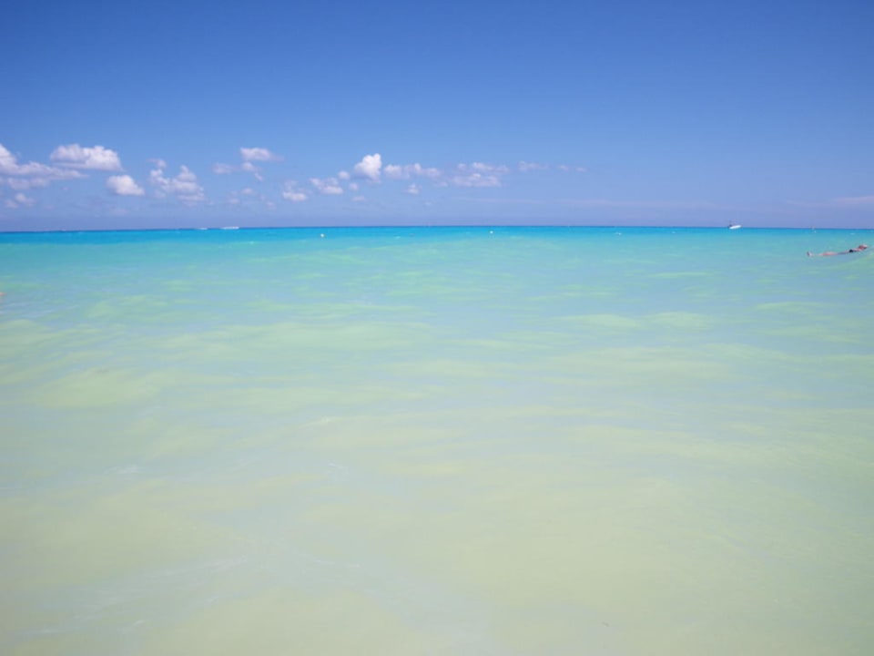 29° Wassertemperatur Hotel Riu Tequila