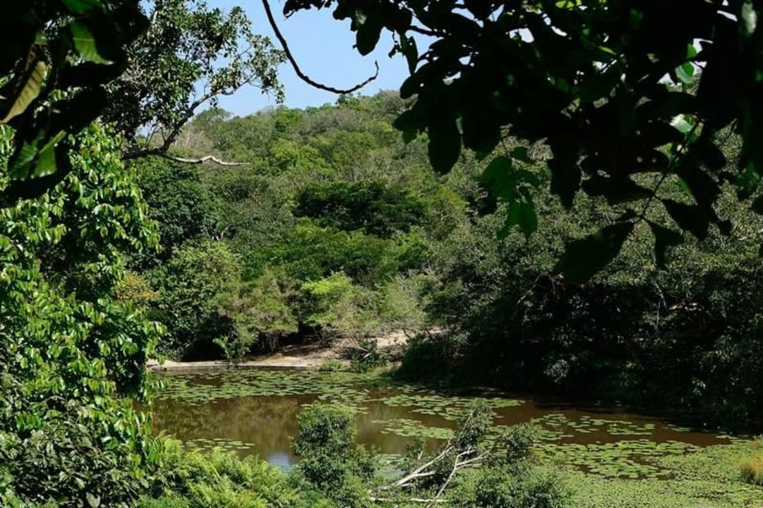 Shimba Hills Lodge Shimba Hills Lodge