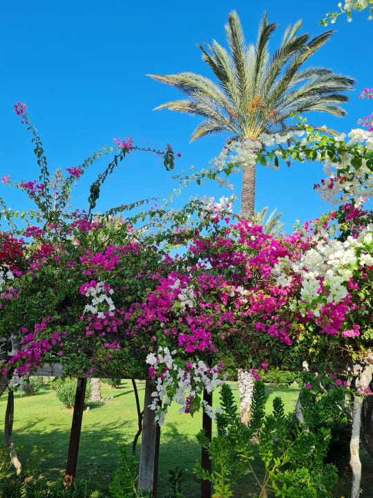 Ausblick Hotel Nissi Beach Resort