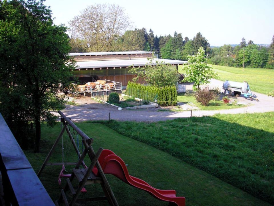 Balkon Hotel Krone Fesslers