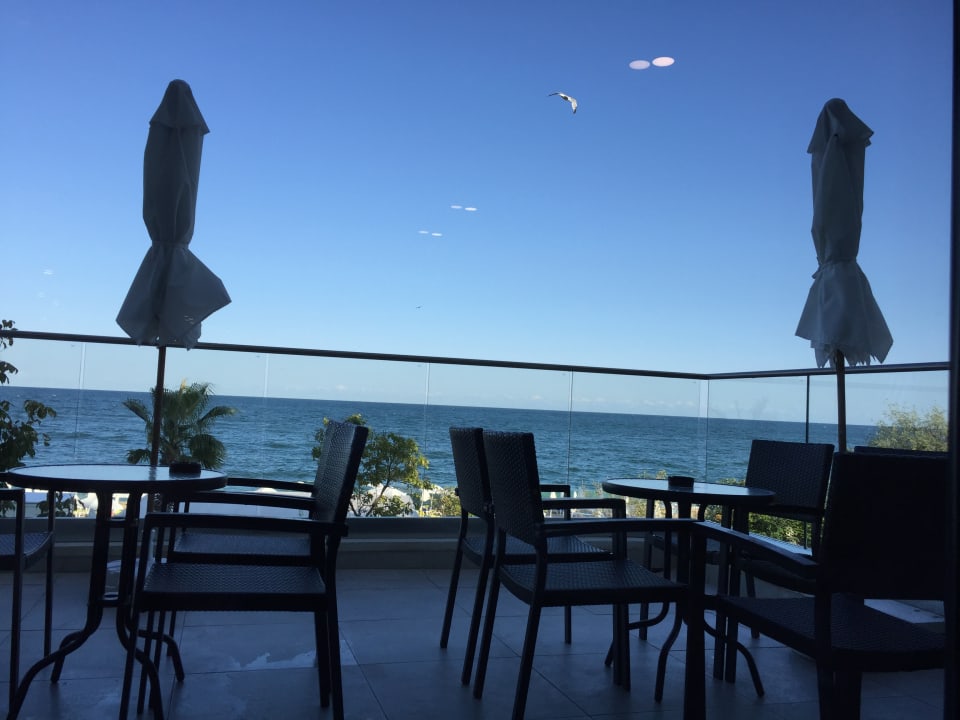 Sonstiges Sentido Marea