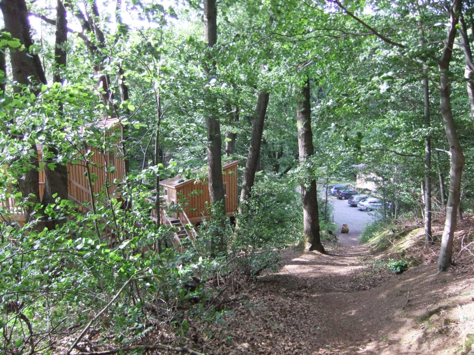 Blick auf Haus 5 & 6 und Parkplatz Wipfelglück Baumhaushotel