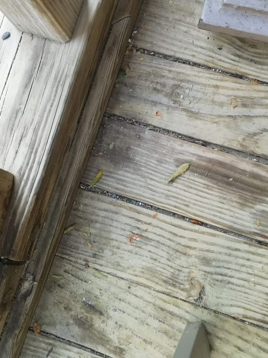 Gastro Hapimag Sea Garden Resort